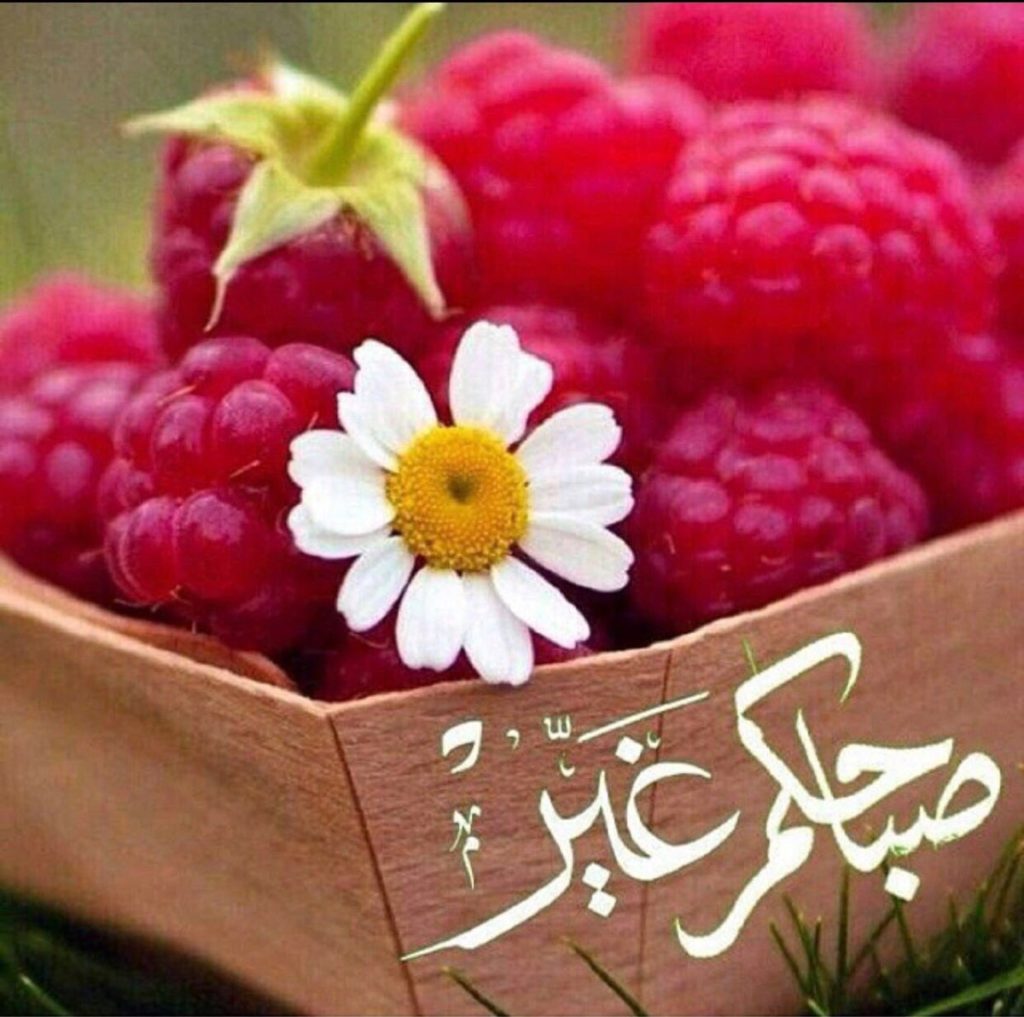 بوستات صباح الخير حبيبتي3