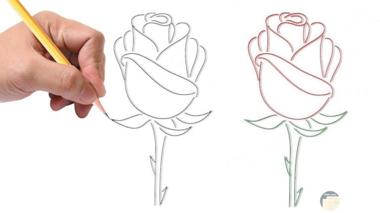 رسومات للمبتدئين4