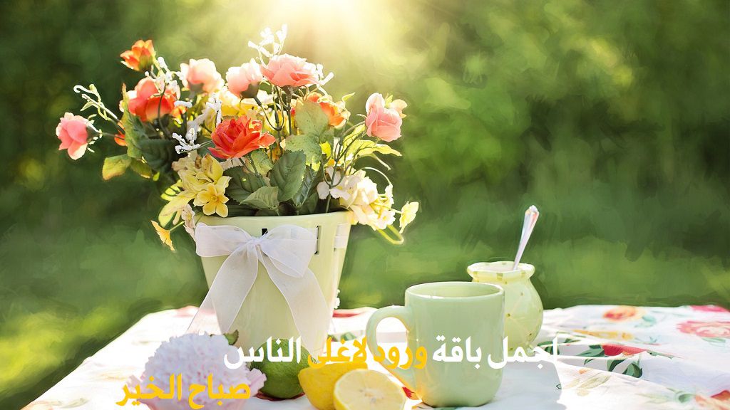 صباح الخير للاصدقاء بالصور3