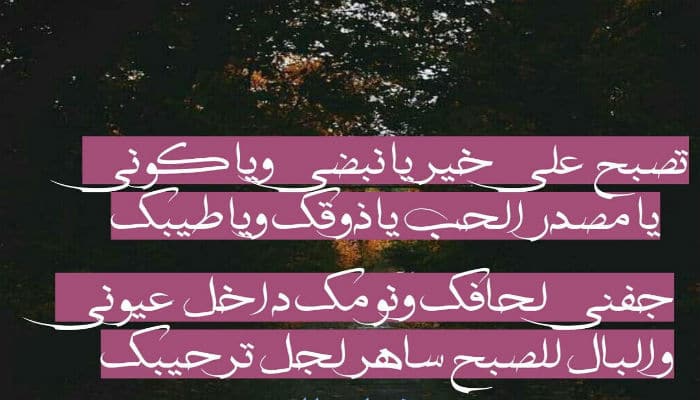 تصبح على خير حبيبي شعر