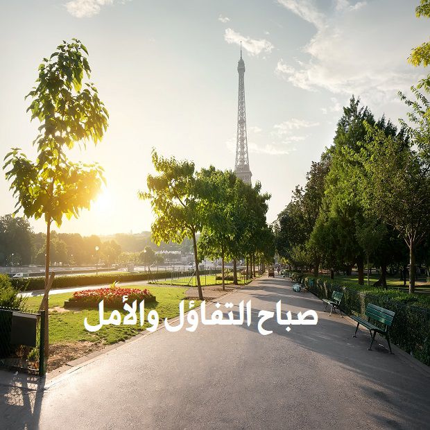 صباح الخير للاصدقاء بالصور4