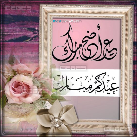 اجمل الصور لعيد الاضحى المبارك9
