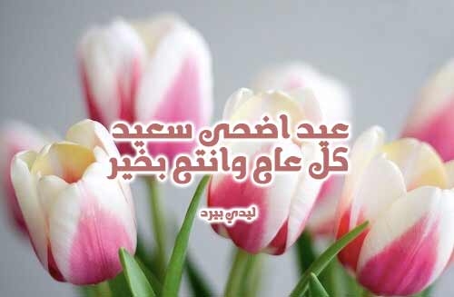 تحميل الصور عيد الاضحى1