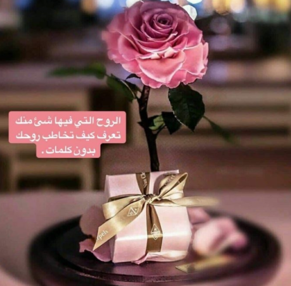 كلام حلو عن الصباح