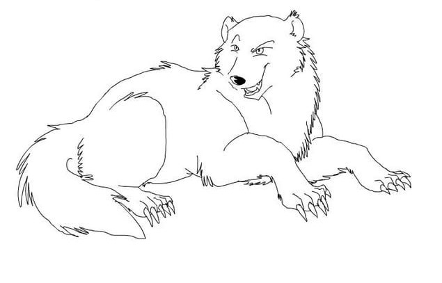 رسومات حيوانات مفترسة2