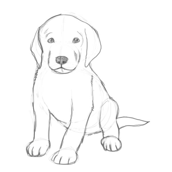رسومات سهلة وجميلة2