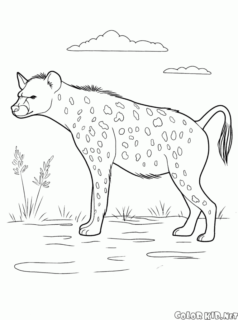 رسومات حيوانات مفترسة3