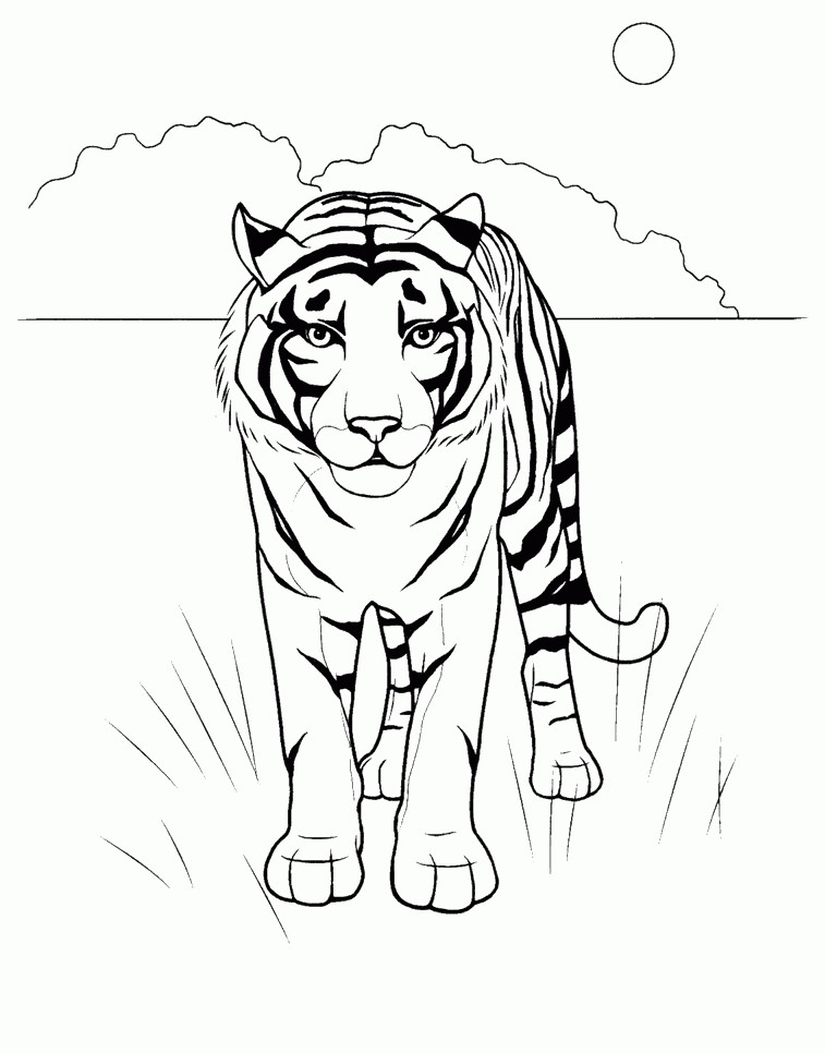 رسومات حيوانات مفترسة3