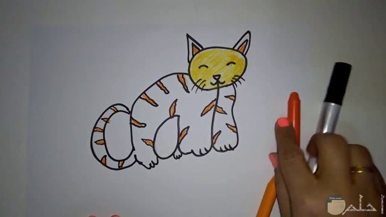 رسومات كيوت سهلة4