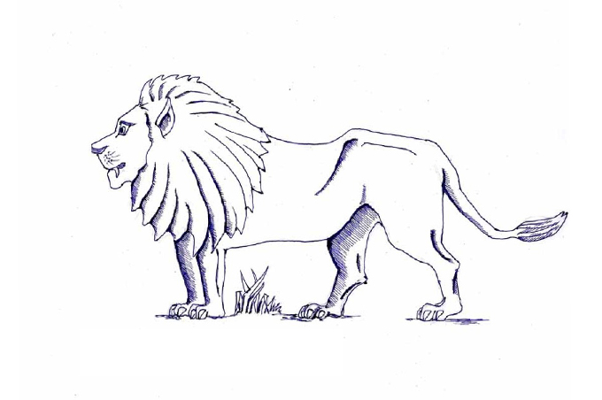 رسومات اطفال للتلوين حيوانات1