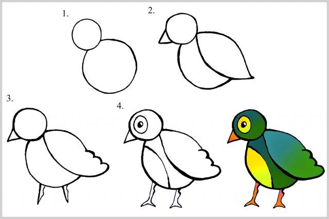 رسومات سهلة للأطفال بالخطوات3