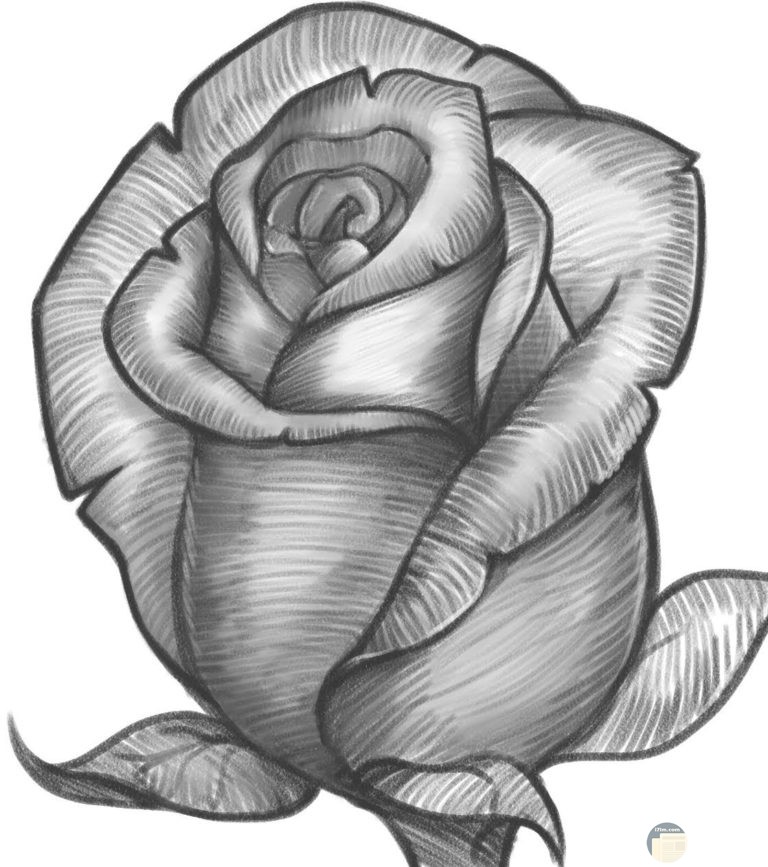 رسومات جميلة2