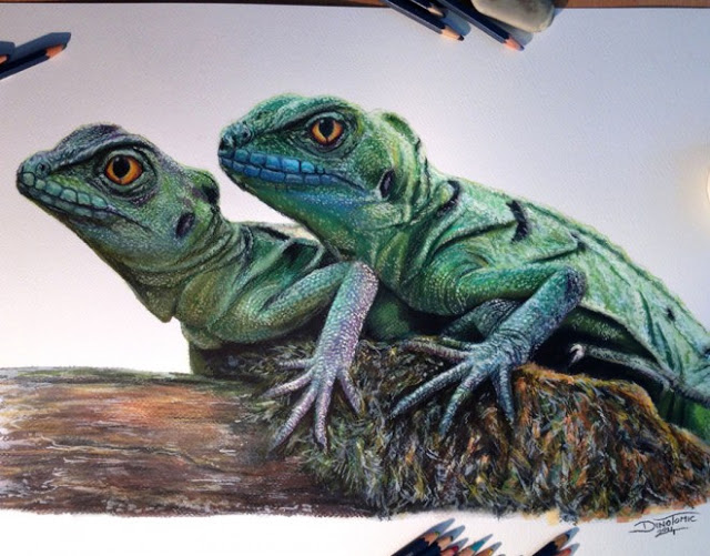 رسومات حيوانات للاطفال ملونة1