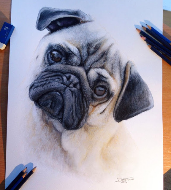رسومات حيوانات للاطفال ملونة3