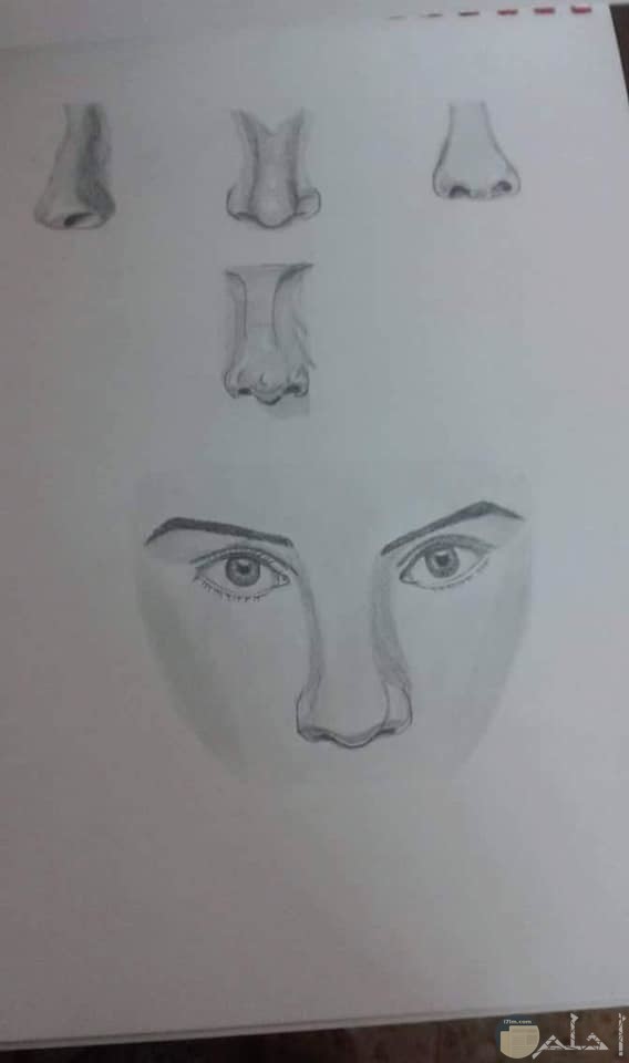 رسومات للمبتدئين2