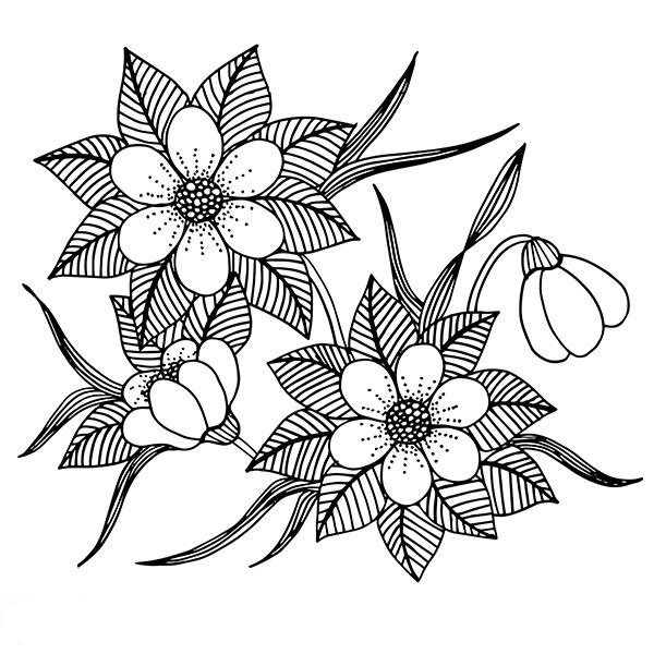 رسومات للتلوين للبنات الكبار2