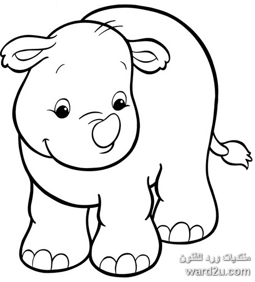 رسومات حيوانات ملونة8