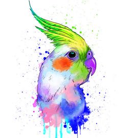 رسومات حيوانات ملونة4