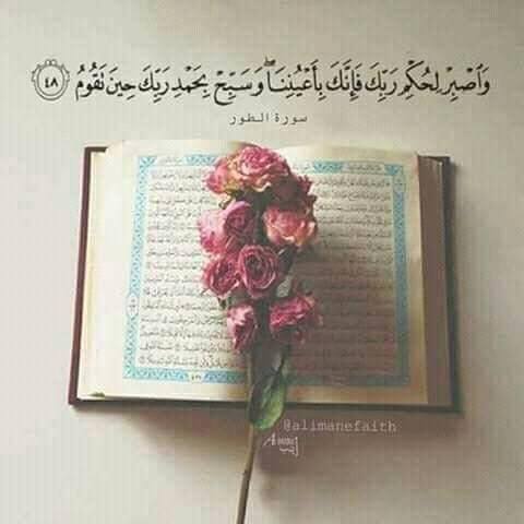 اسماء للفيس بوك بالانجليزى مترجمة