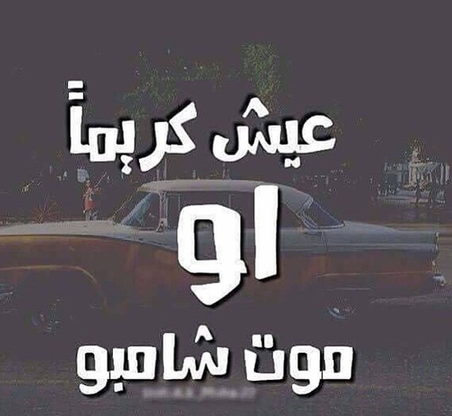 كلام شات يضحك