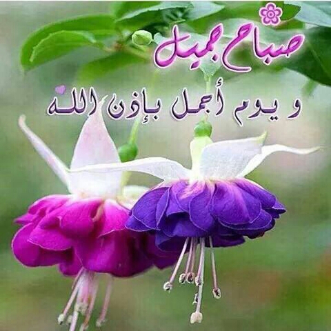 اجمل دعاء الصباح مع الصور 1