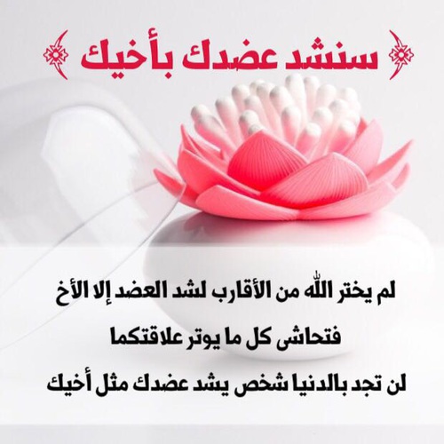 بوستات عن الاخ 2019