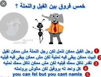 نكته تضحك نملة