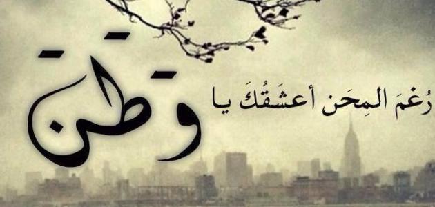 صورعن الوطن2