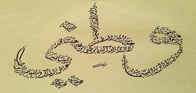 صورعن الوطن4