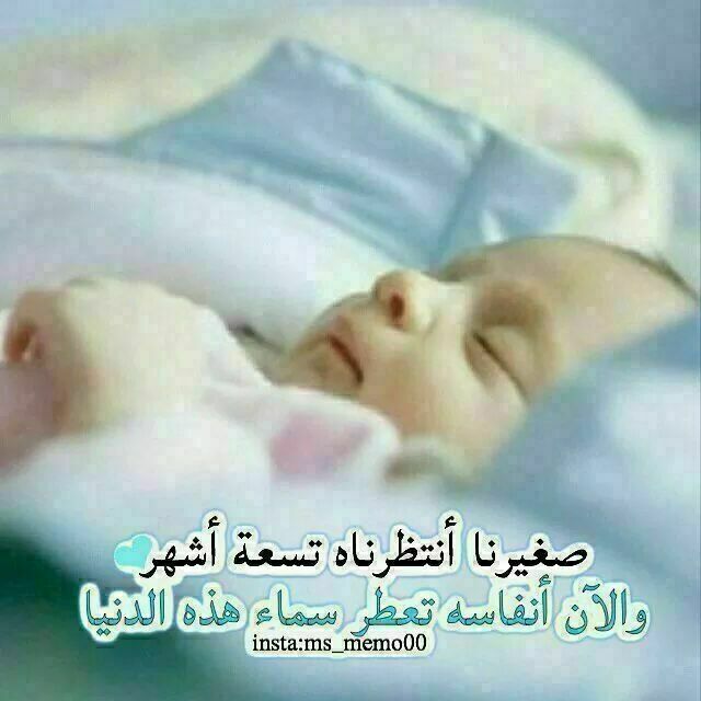 مواليد صغار2