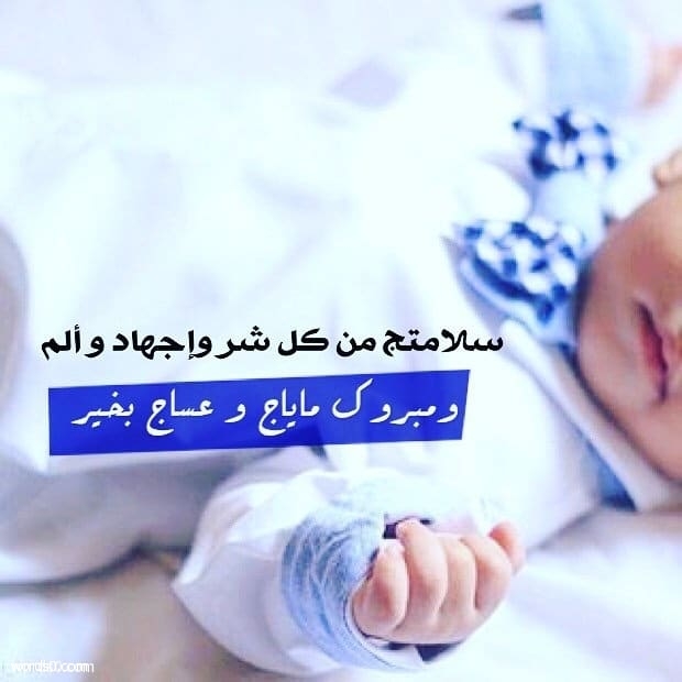 مواليد صغار3
