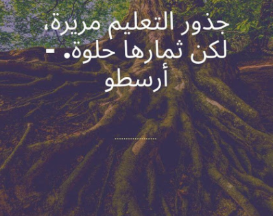 عبارات تشجيعية للمذاكرة
