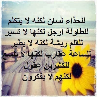 كلام رائع للنشر على الفيس بوك