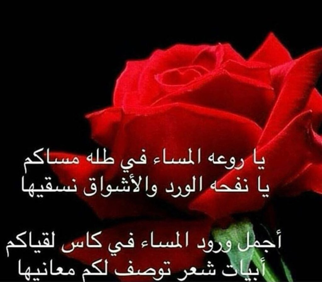 شعر عن الورد نزار قباني