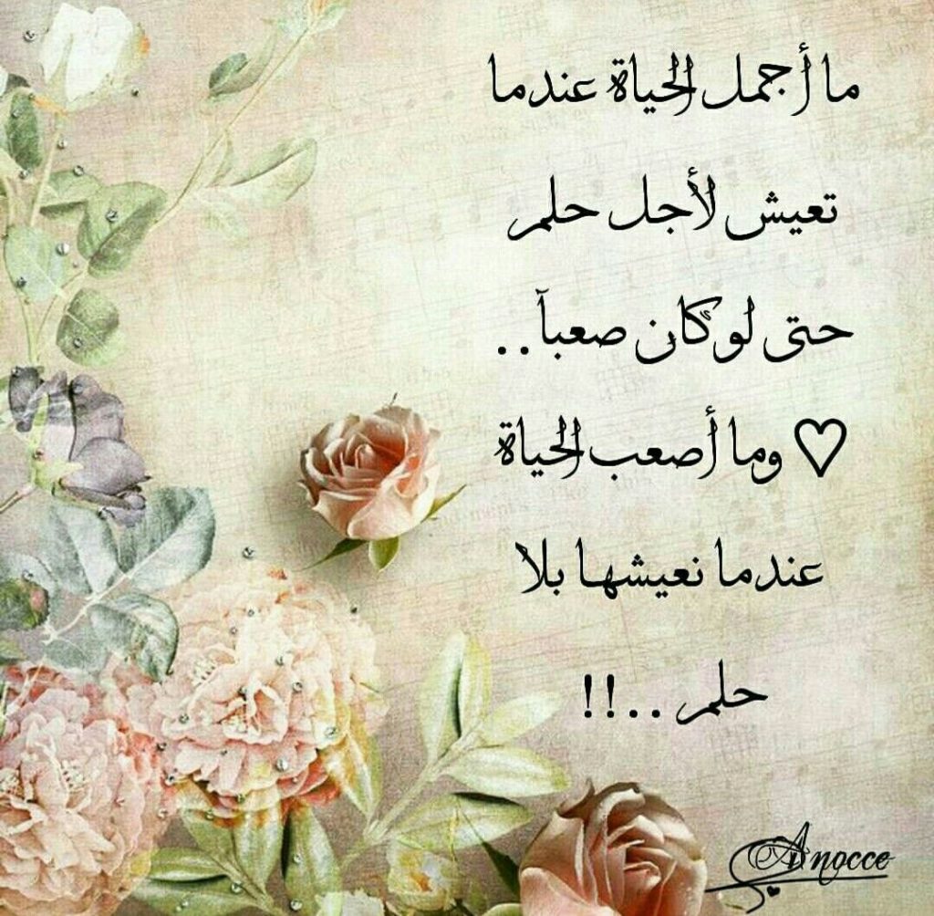 كلام عن متاعب الحياة