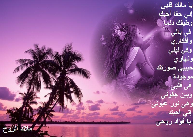 شعر للحبيب الغالي