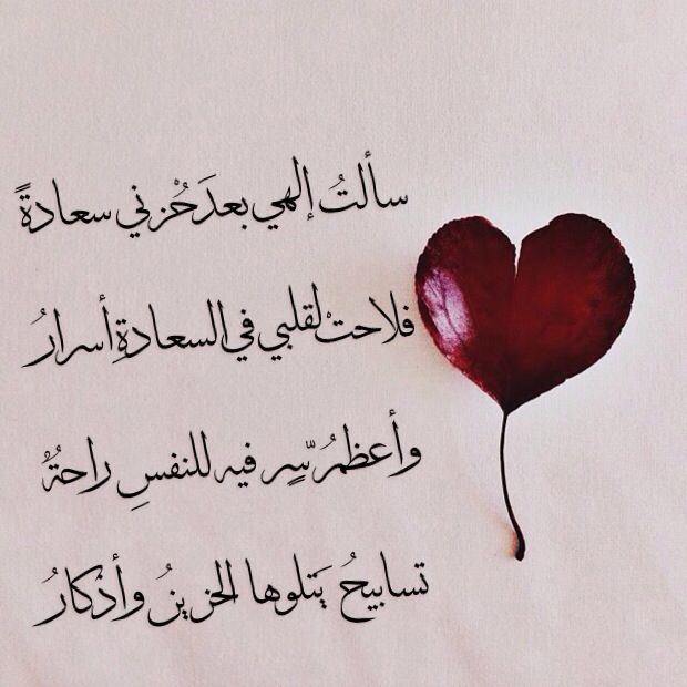 شعر عن الشعر الجميل