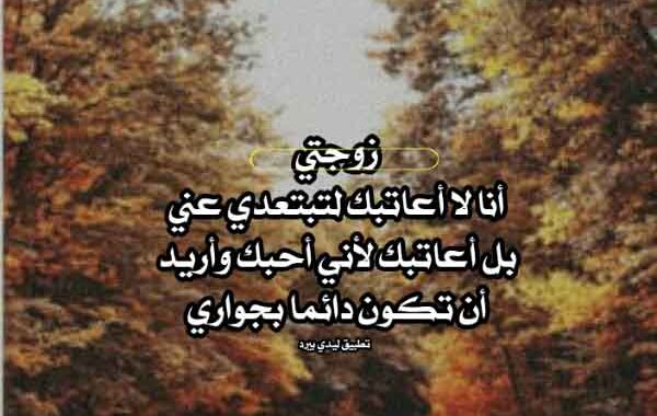 رسائل عتاب ولوم للزوجة