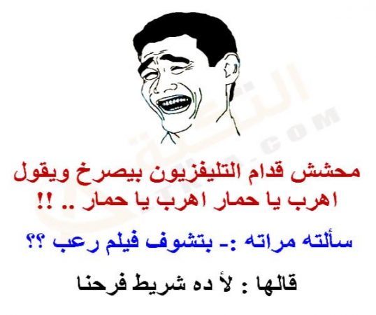 نكت محششين قصيرة