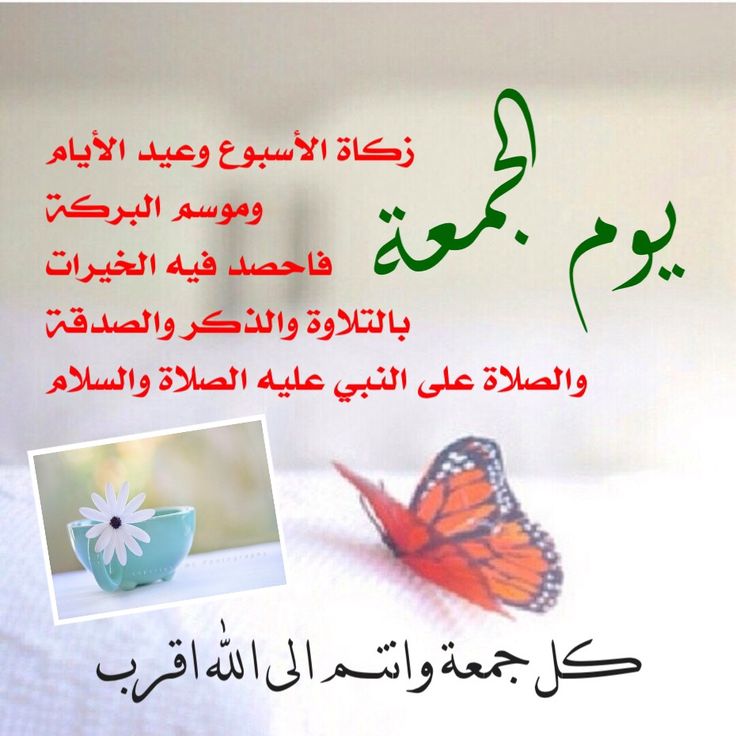 صور يوم الجمعه4