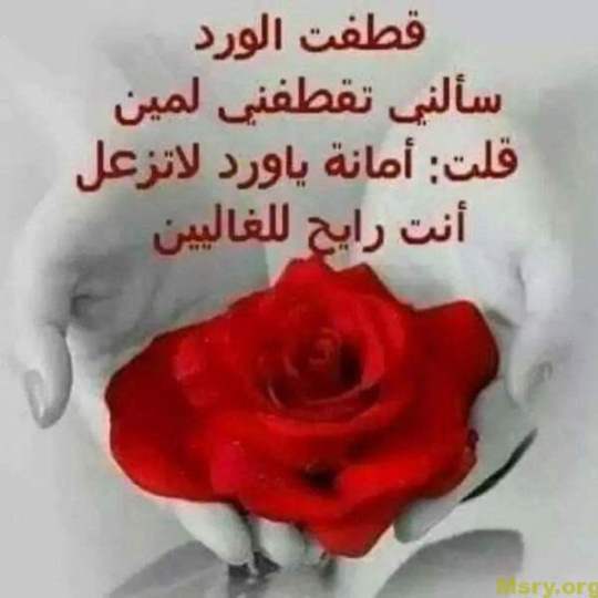 شعر مدح الحبيب