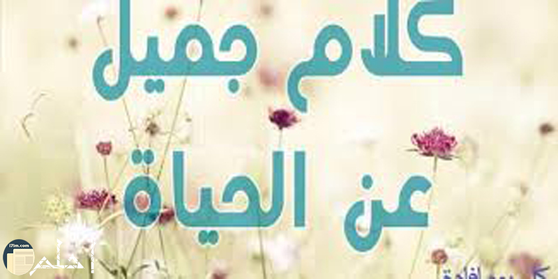 كلام جميل ومعبر عن الحياة