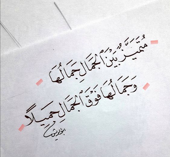 شعر غزل فصيح عن الجمال