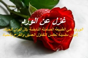 غزل عن الورد