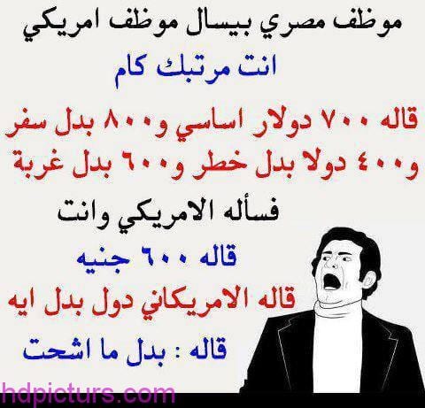 نكت ضحك موت مصرية