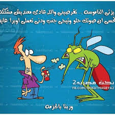نكت مغربية عائلية