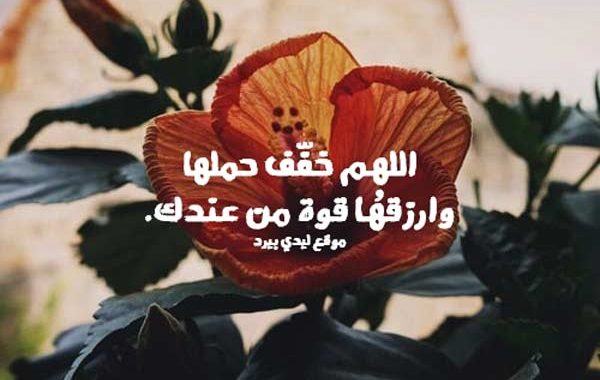  رسائل حب لزوجتي الحامل
