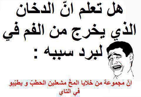 كومنتات مضحكة عن البرد