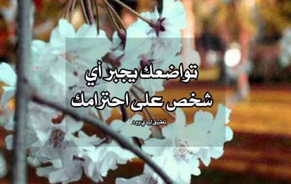 مدح إنسان خلوق رسالة مدح الشيخ