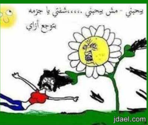 نكت بتفرط ضحك